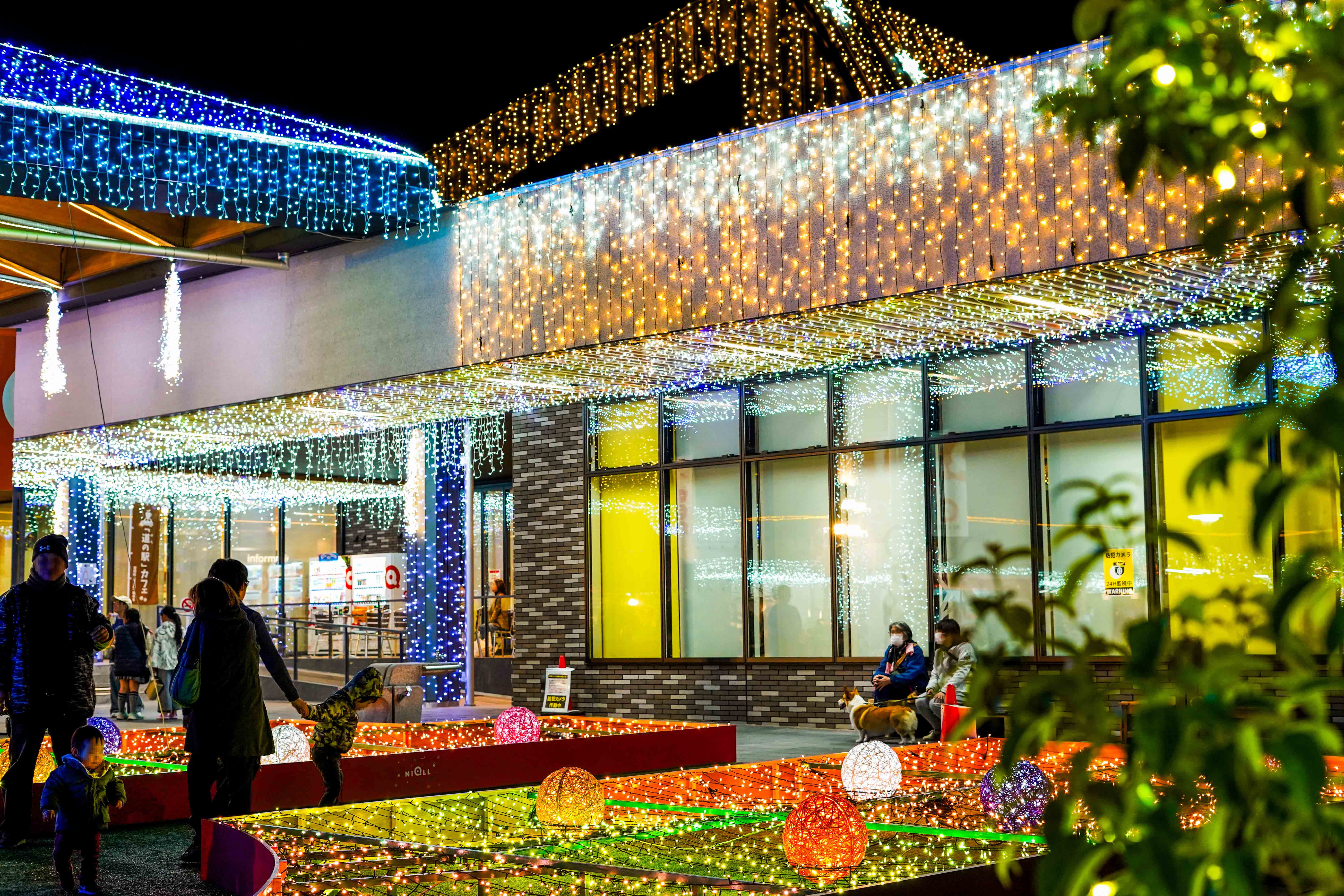 道の駅都城NiQLLイルミネーション-2枚目-