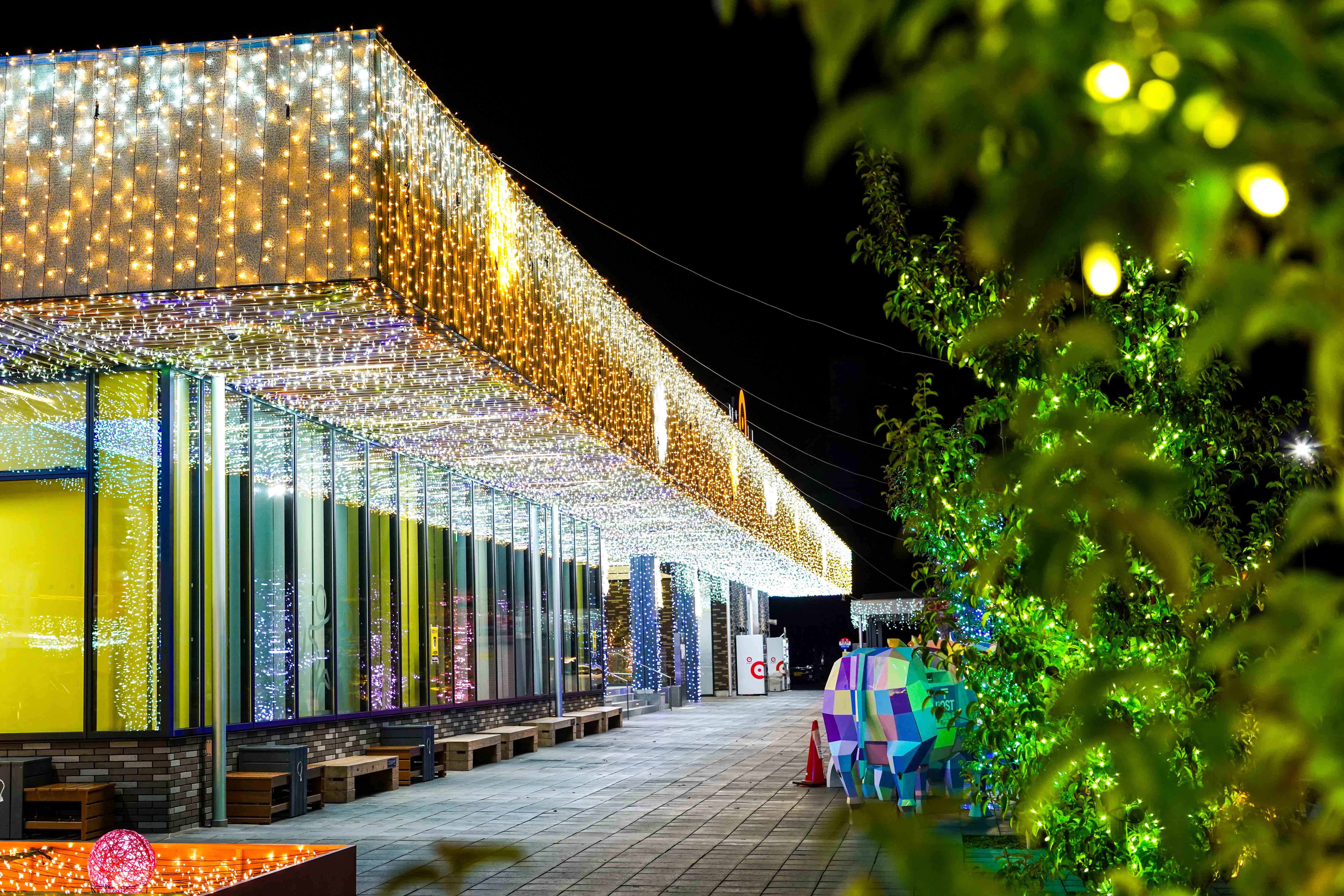 道の駅都城NiQLLイルミネーション-3枚目-