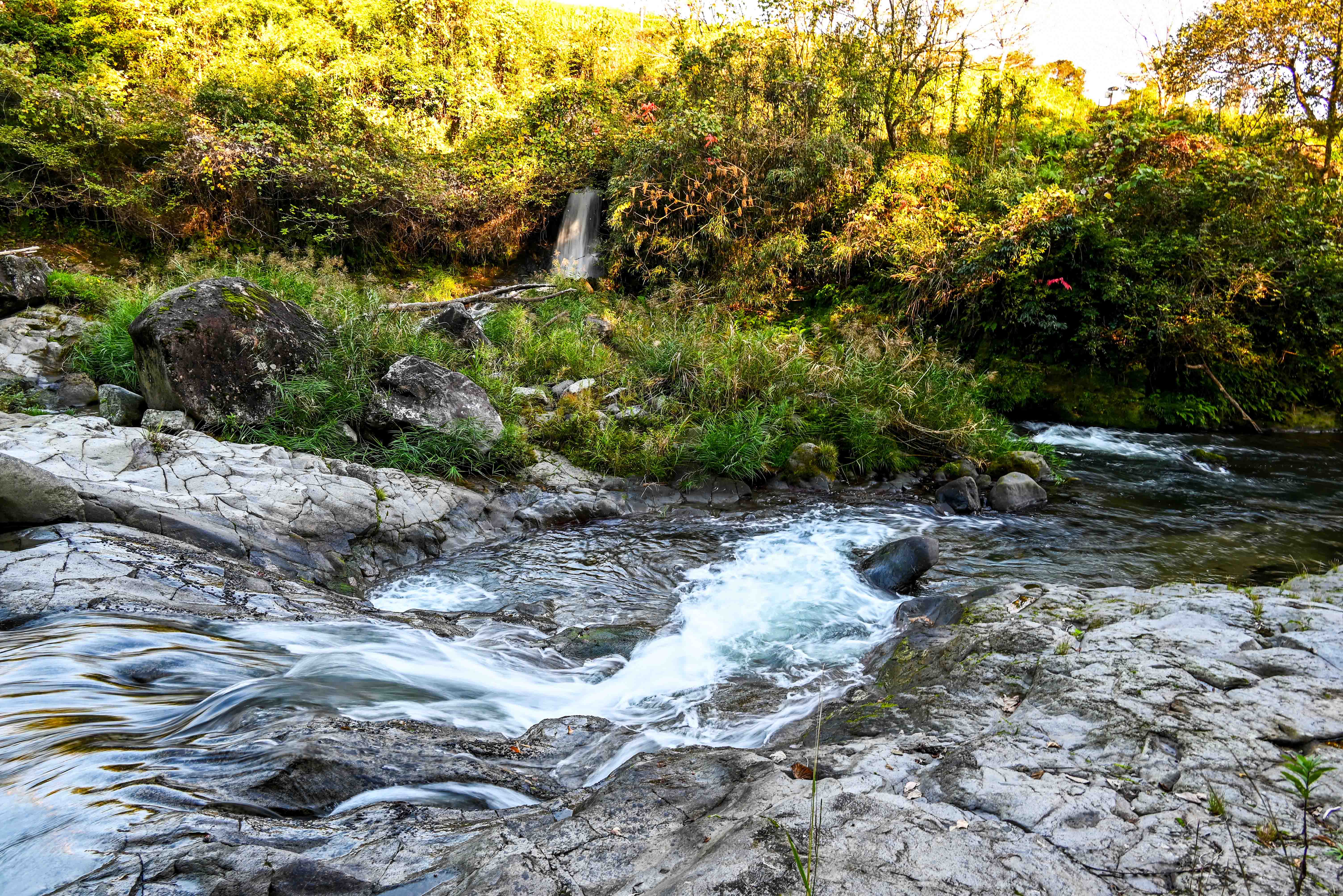 ごろが轟-1枚目-