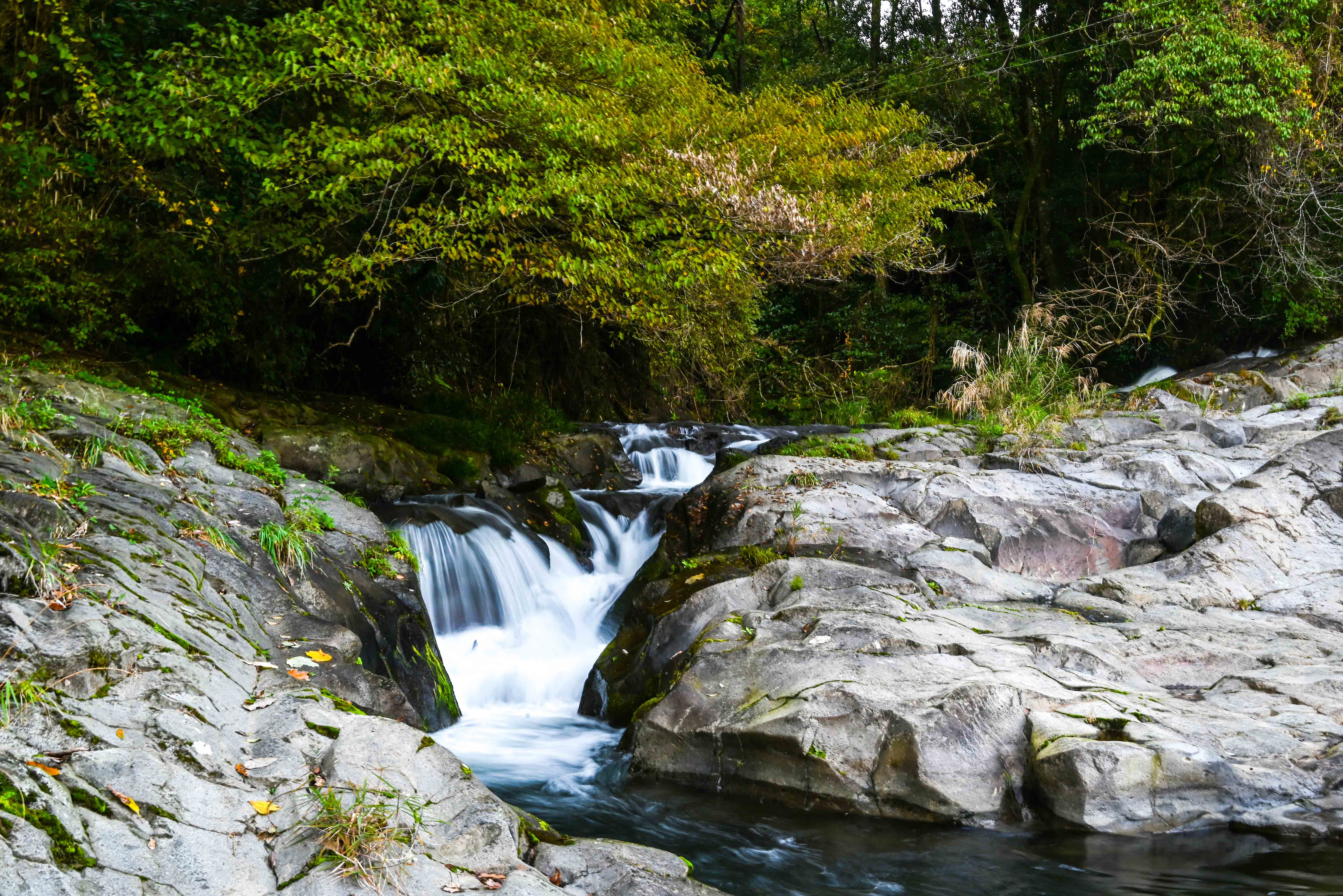 ごろが轟-3枚目-