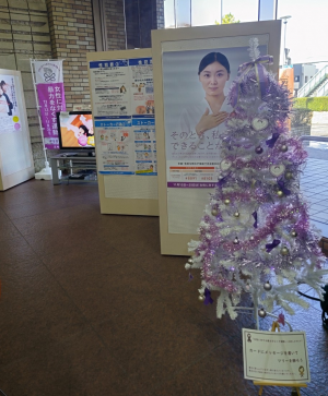 女性に対する暴力をなくす運動期間ロビー展写真