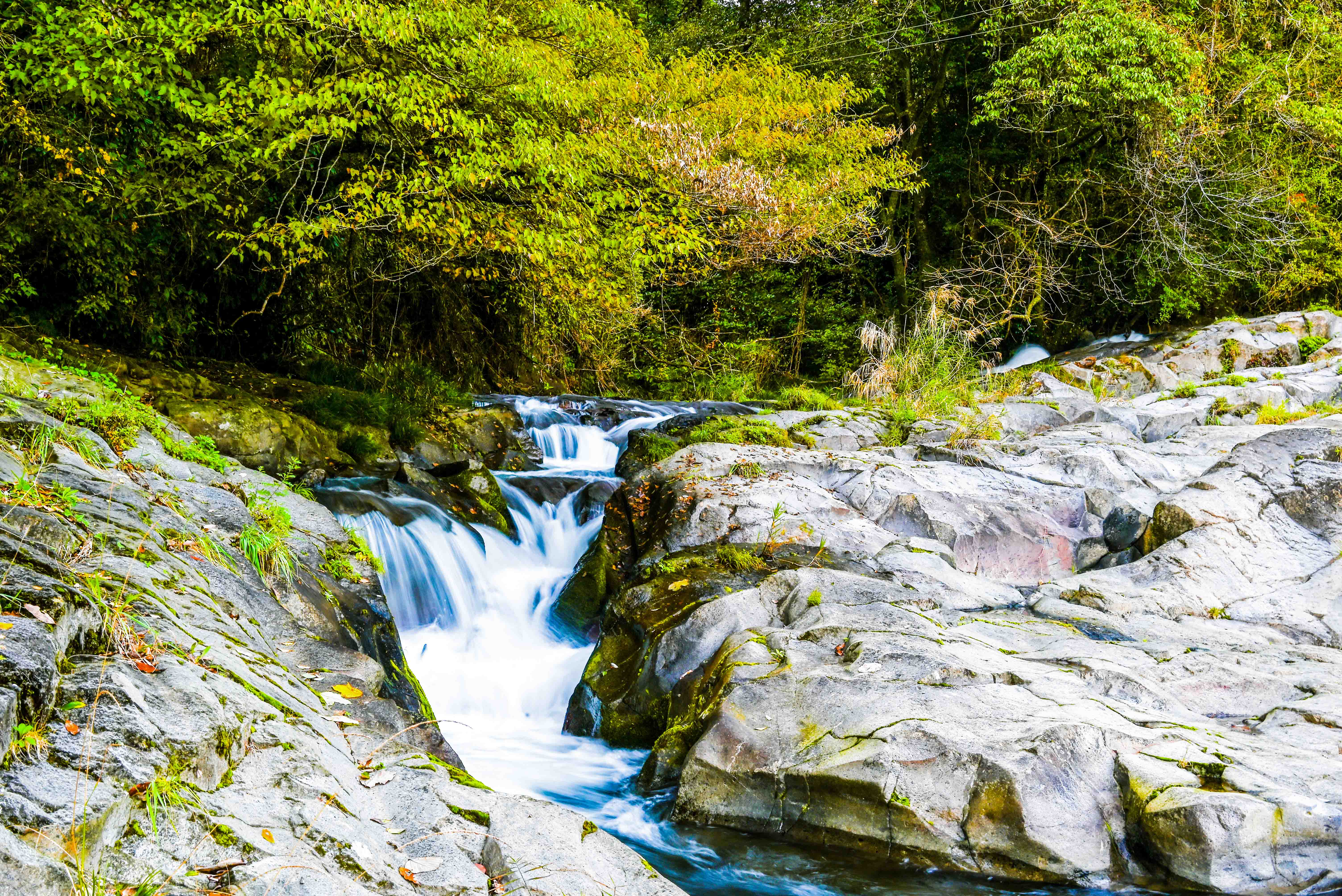 ごろが轟-4枚目-