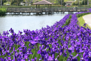 早水公園を紹介します