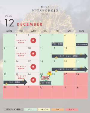 12月のイルミネーション一般開放日です
