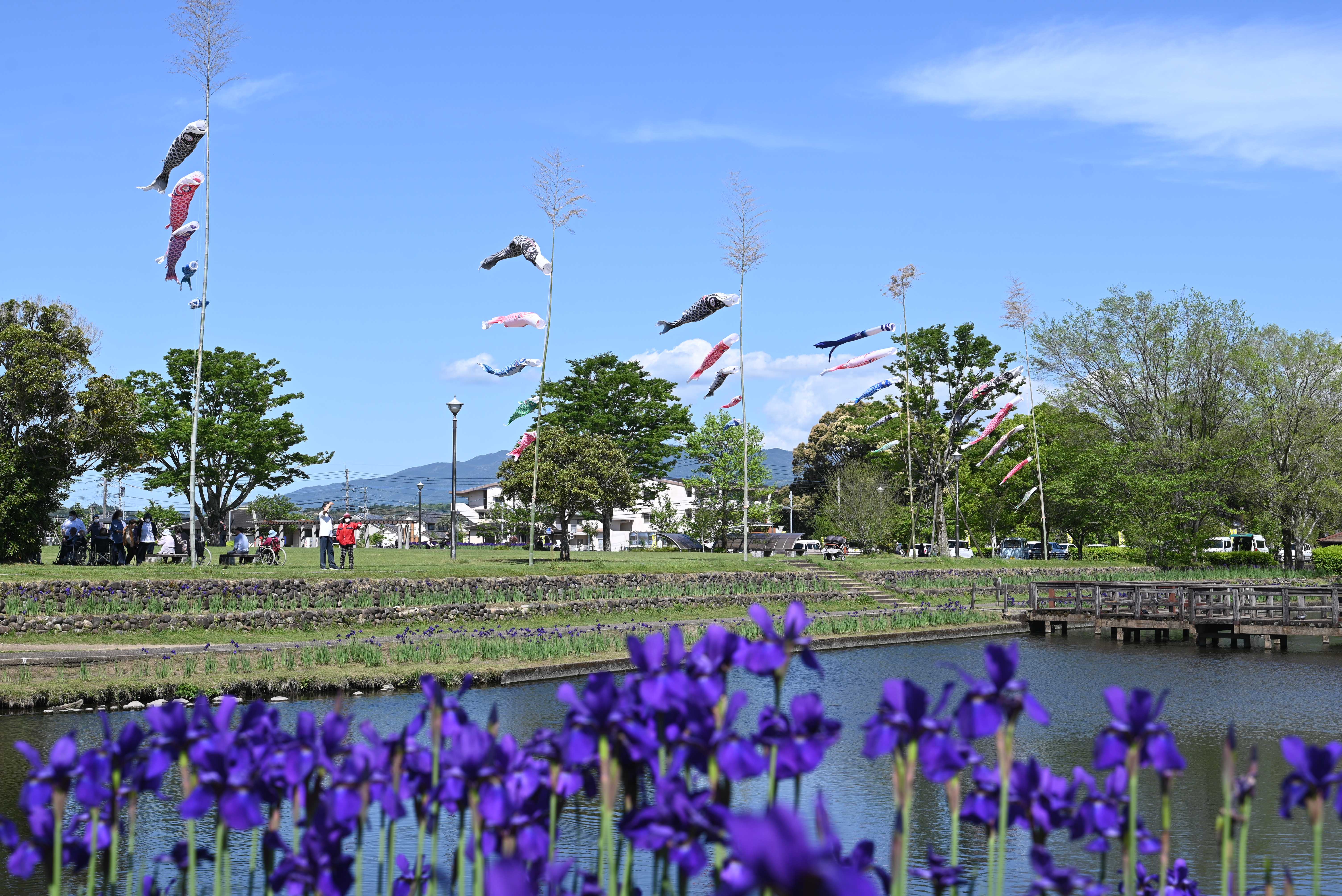 早水公園-33枚目-