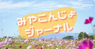 番組オープニング