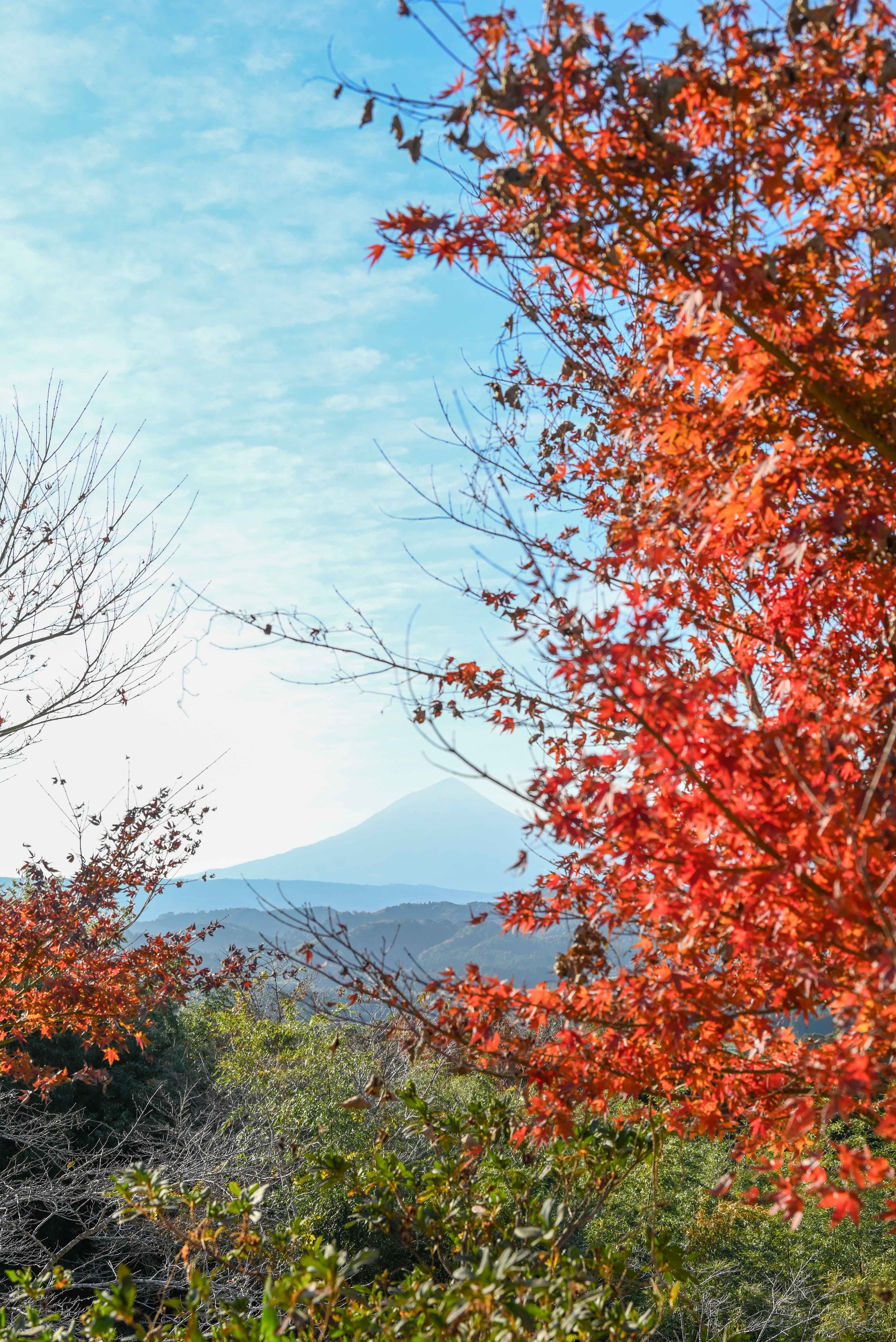 木場城史跡公園から見た霧島連山-3枚目-