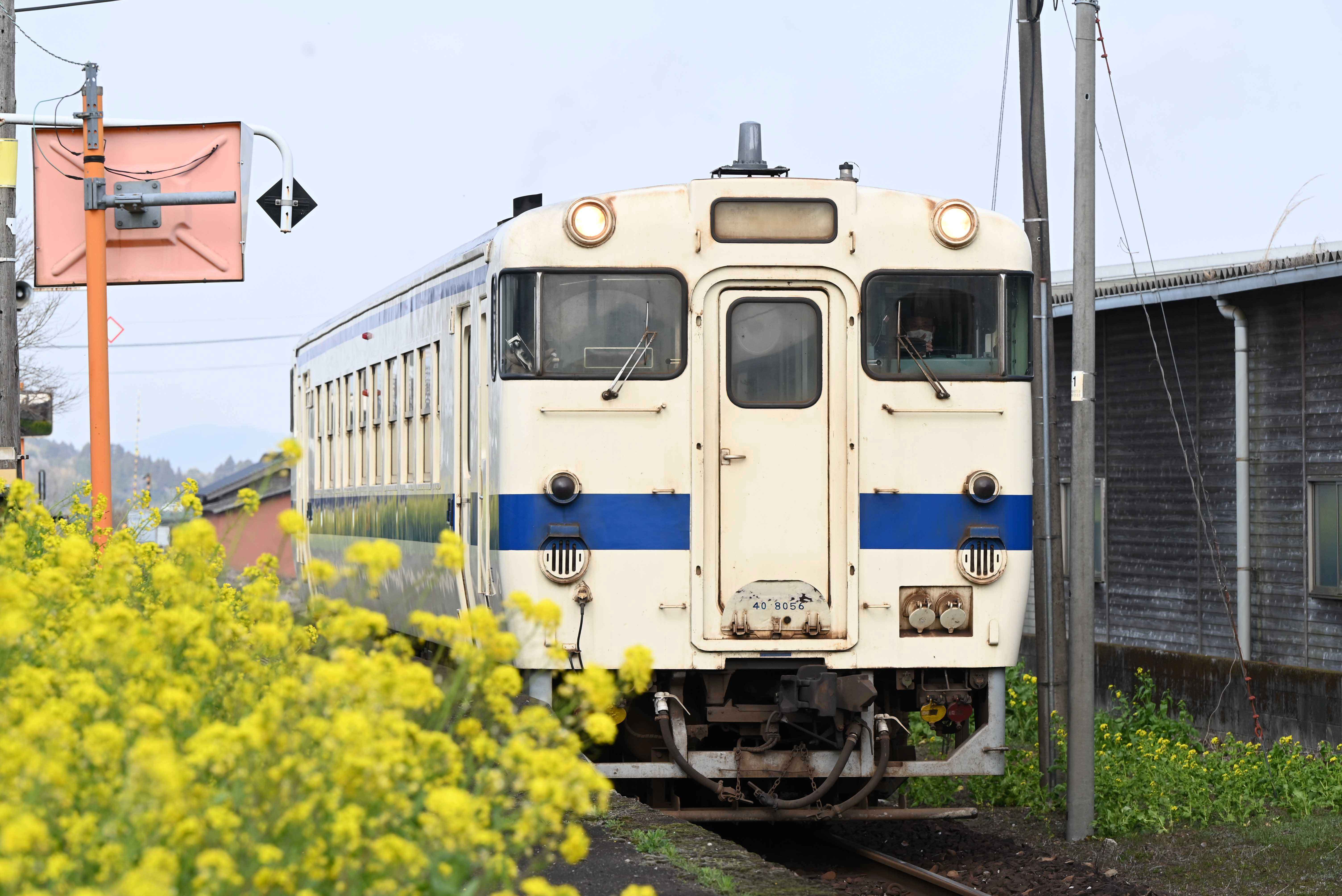 菜の花と吉都線-2枚目-