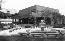 市立美術館-5枚目-