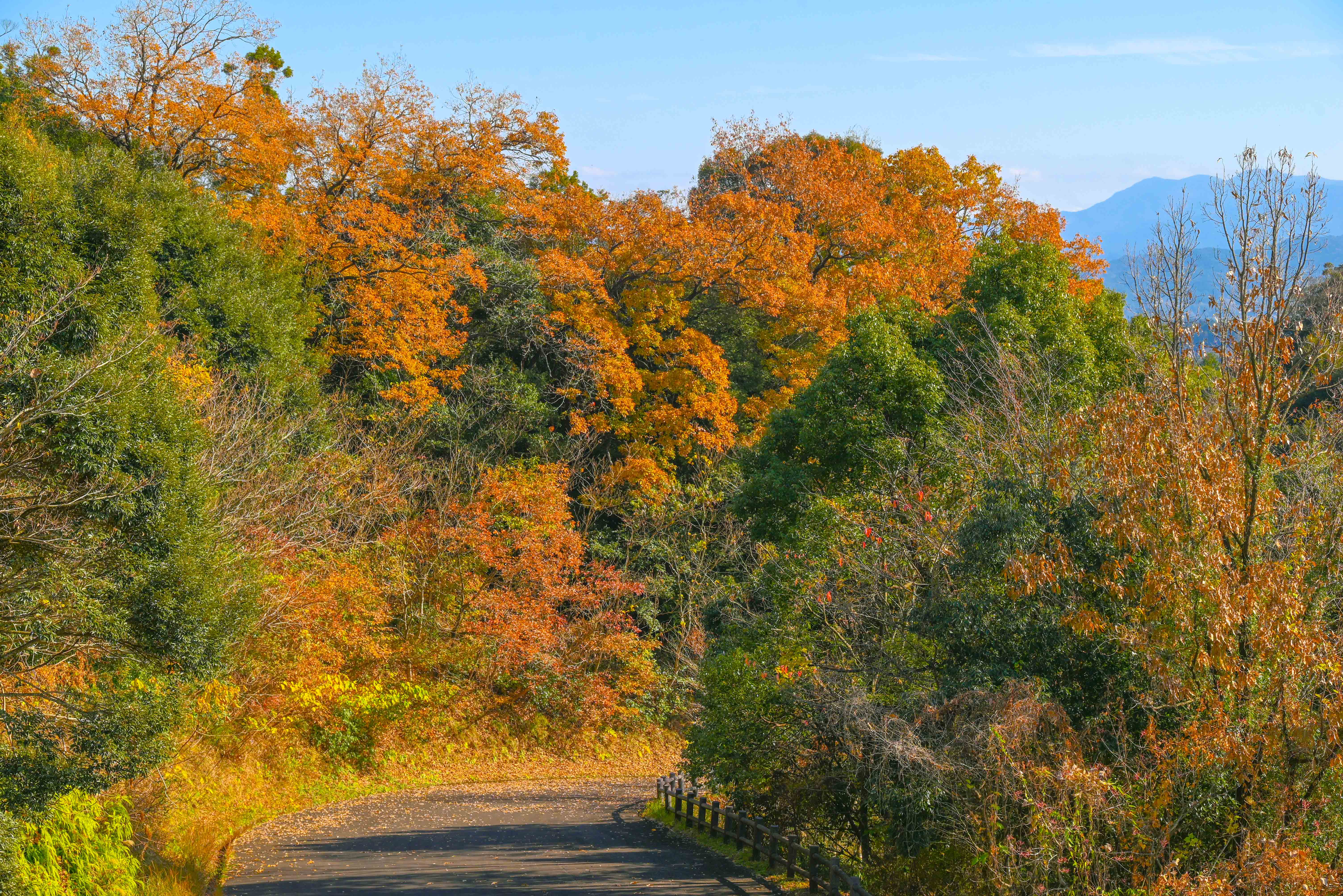 高崎総合公園-4枚目-