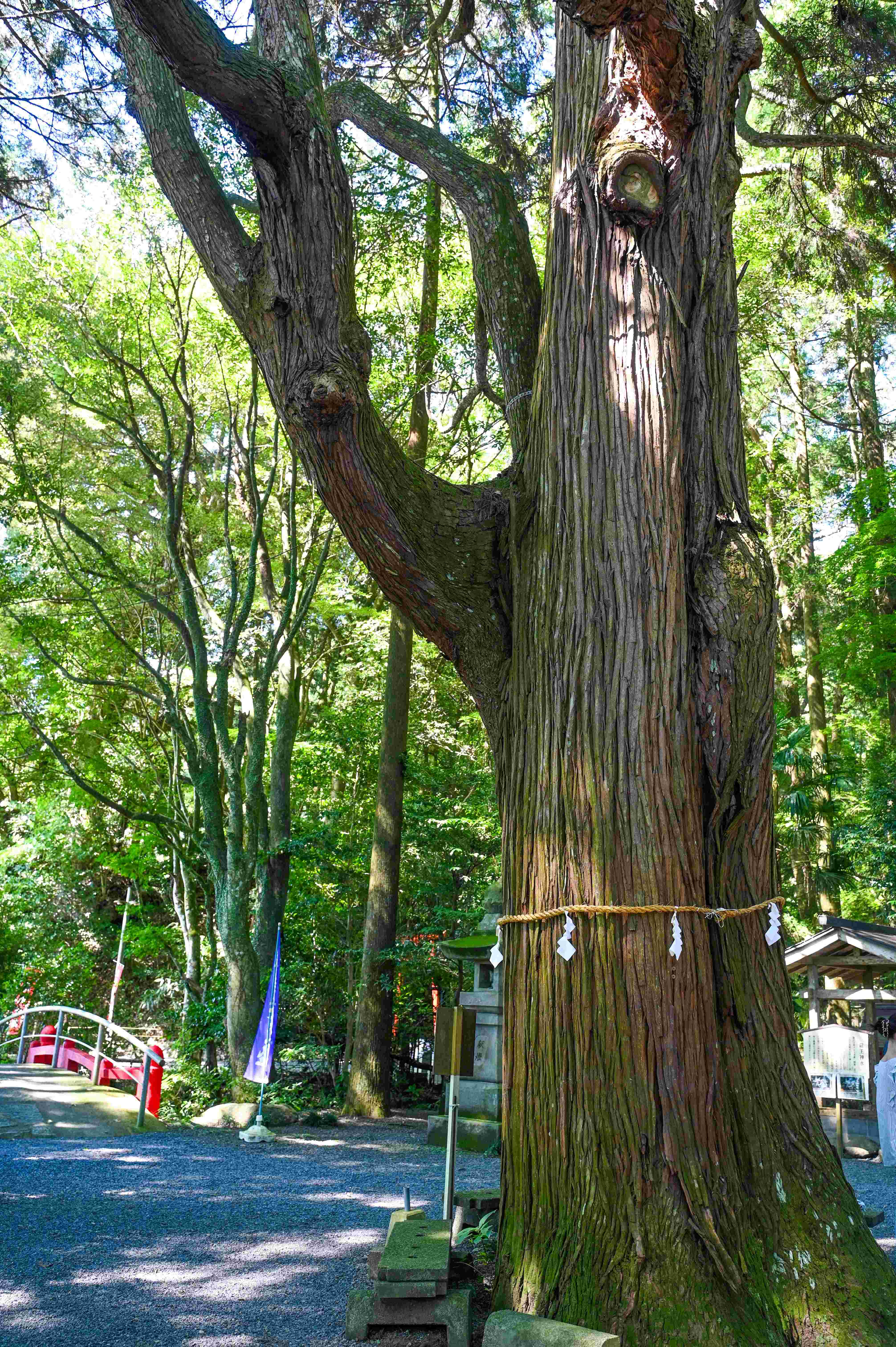 東霧島神社-5枚目-