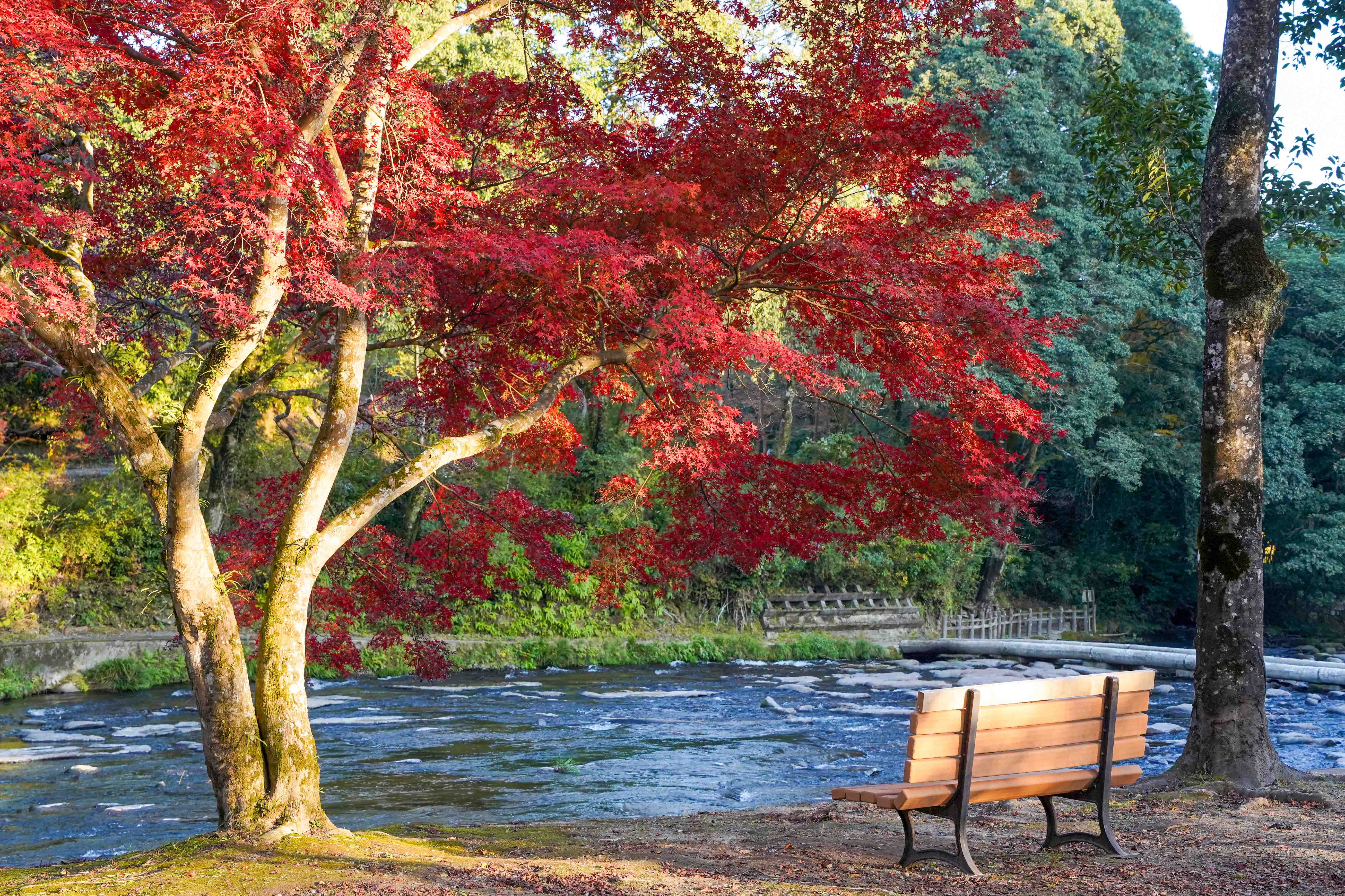 関之尾公園-21枚目-