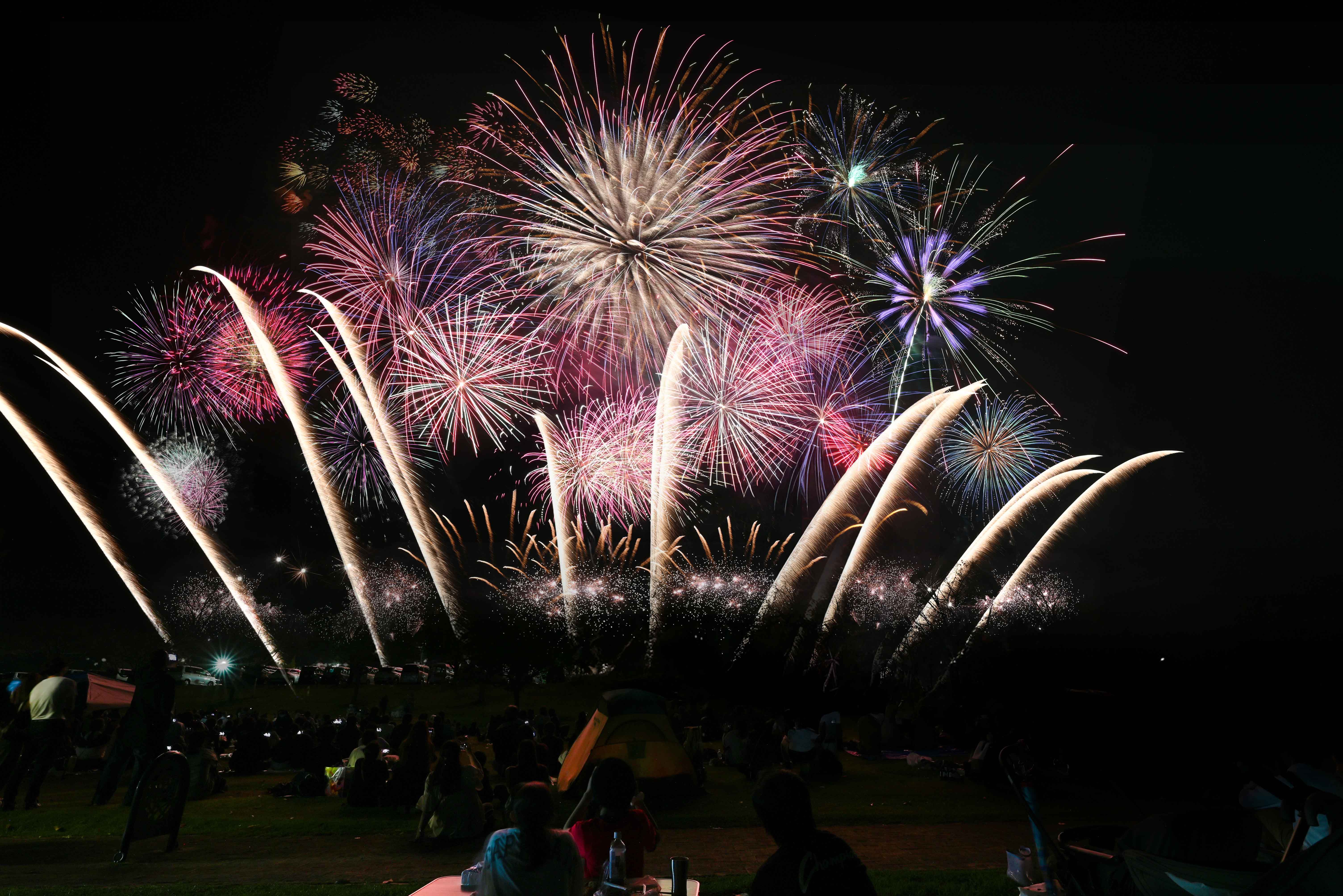 焼肉カーニバル（2025年）-12枚目-