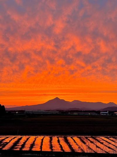優秀賞（前期）