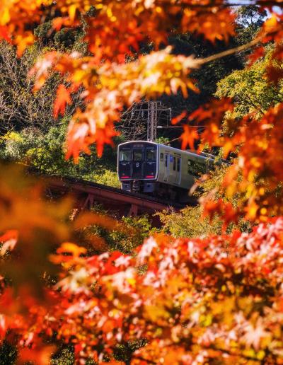 優秀賞（後期）