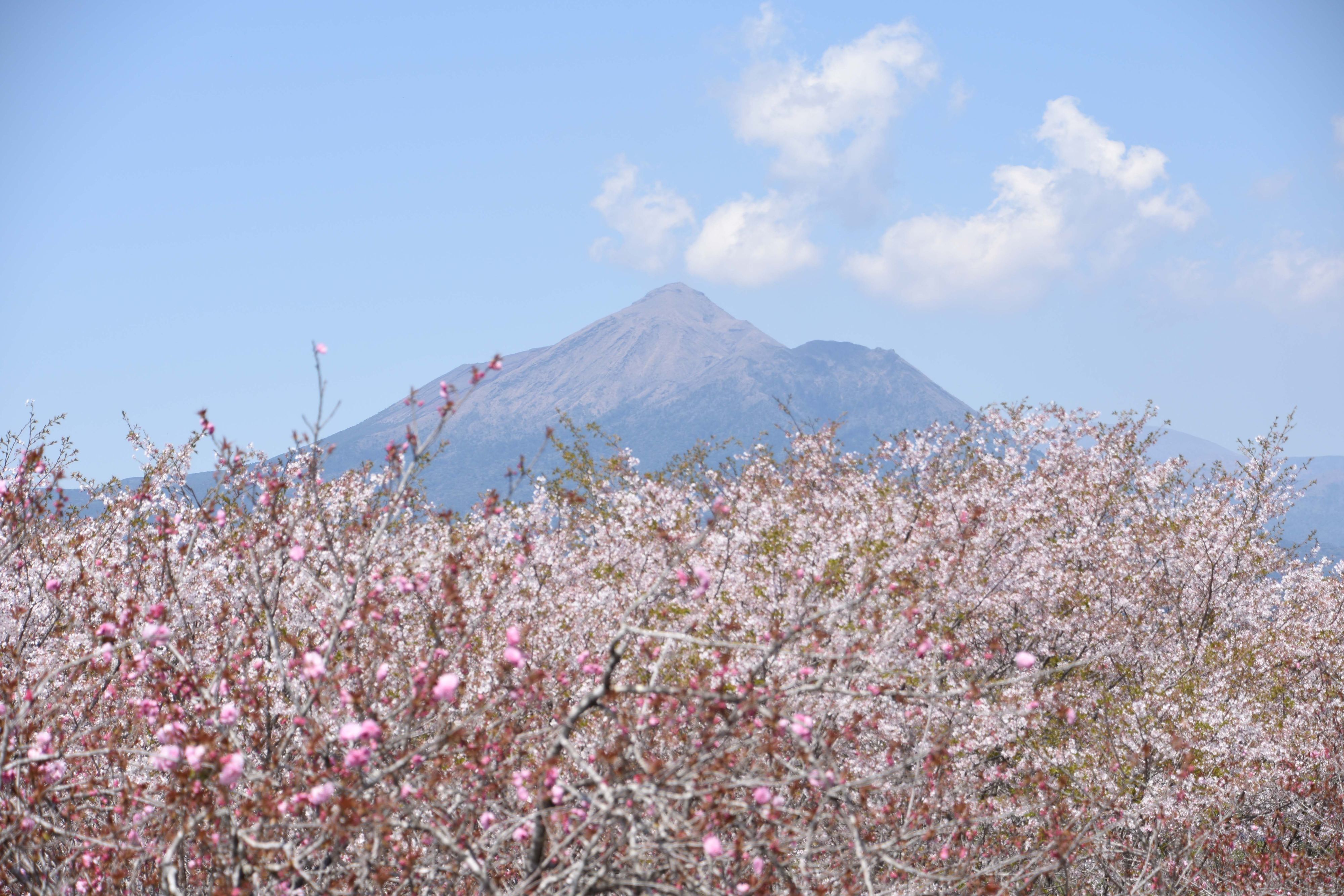 一堂ケ丘公園-7枚目-