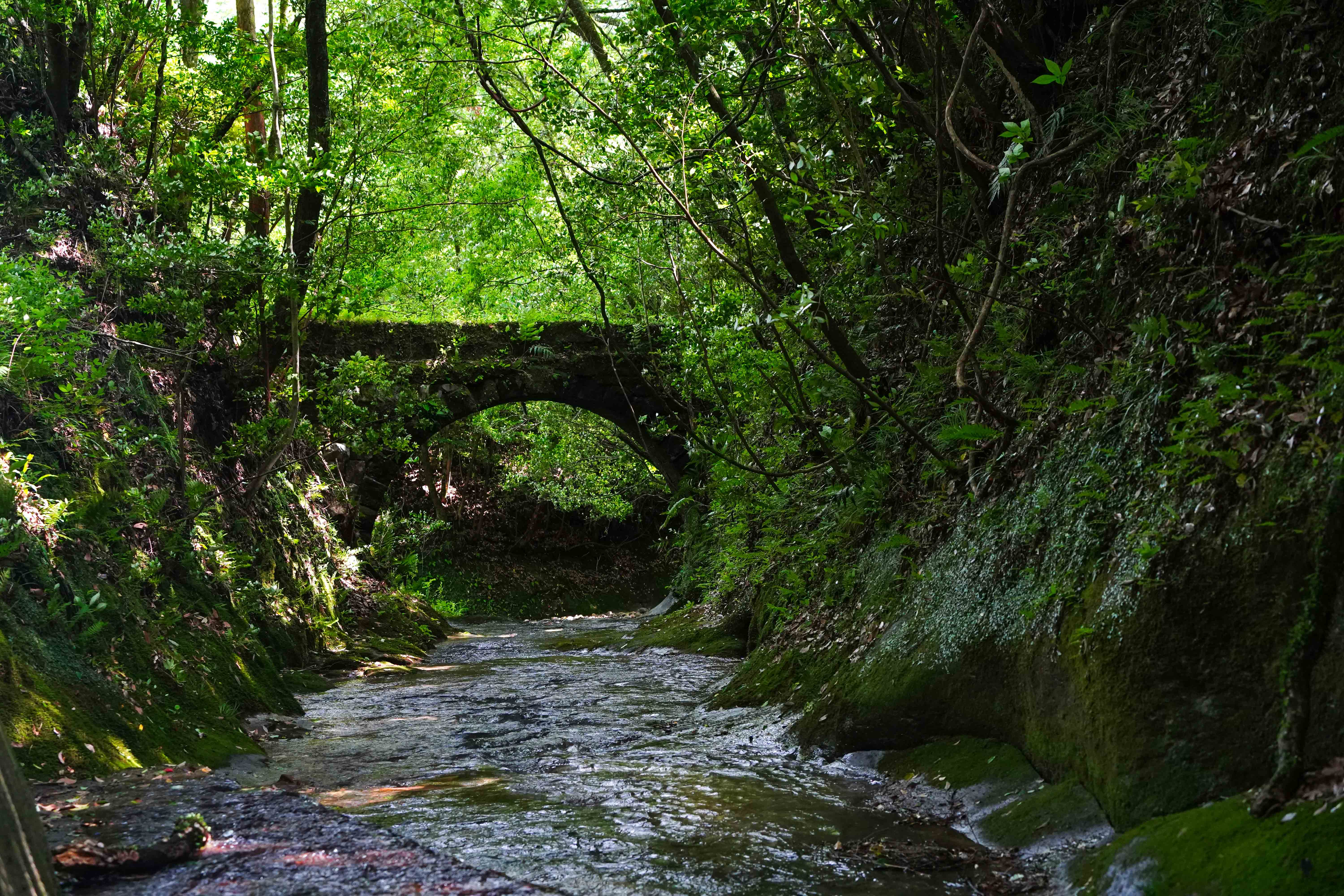 広報都城令和7年7月号届けたい都城の風景「薩摩古道」