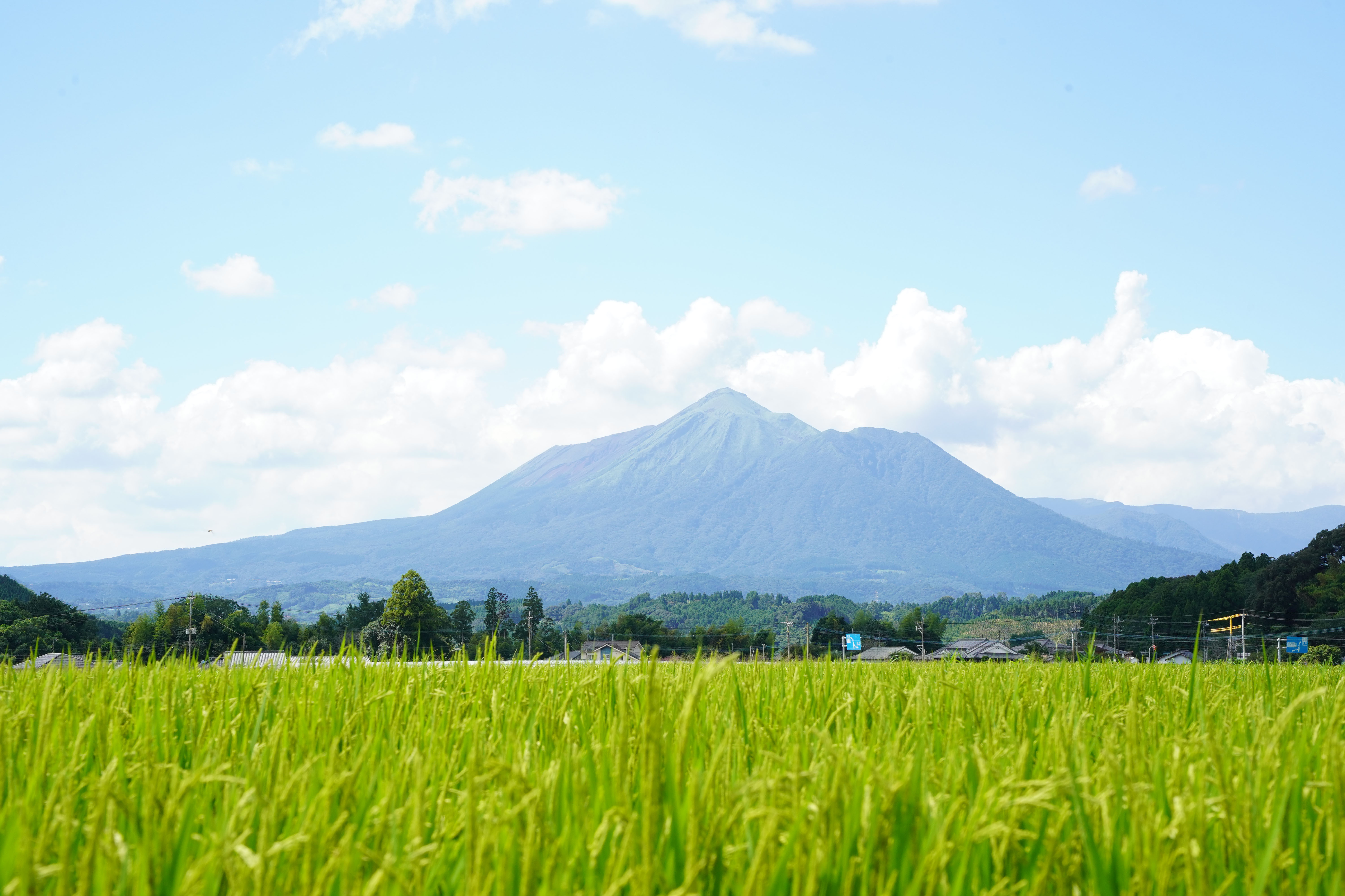広報都城令和7年10月号届けたい都城の風景「夏の田園と霧島山」の写真