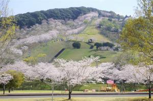 観音池公園