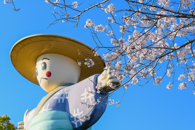 一堂ヶ丘公園-16枚目-