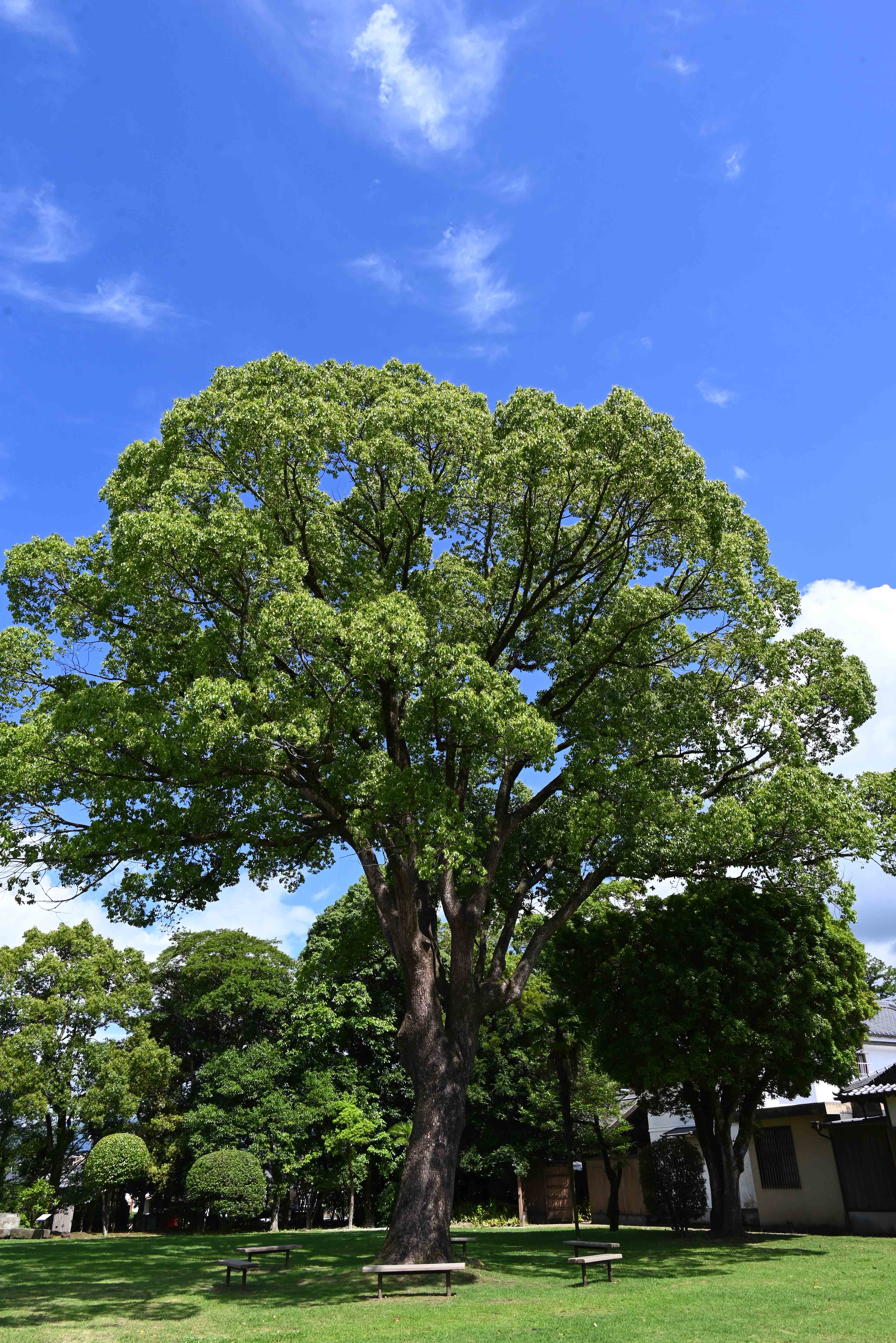 都城島津邸-27枚目-