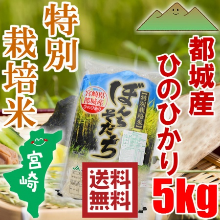 都城産 ひのひかり ぼんち育ち 