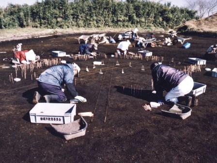 平田遺跡周溝状遺構調査