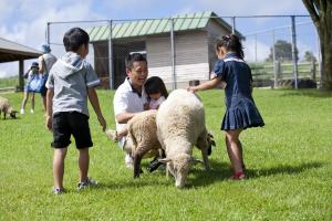 高千穂牧場の羊と触れ合う家族の画像
