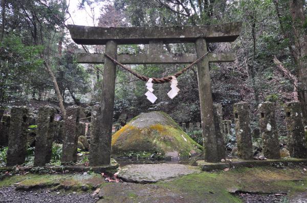 一見苔むしたただの岩に見えます