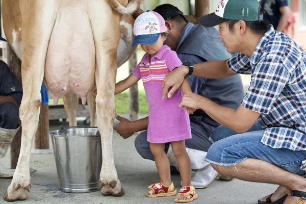 チビッコに人気の乳搾り体験(体験無料)