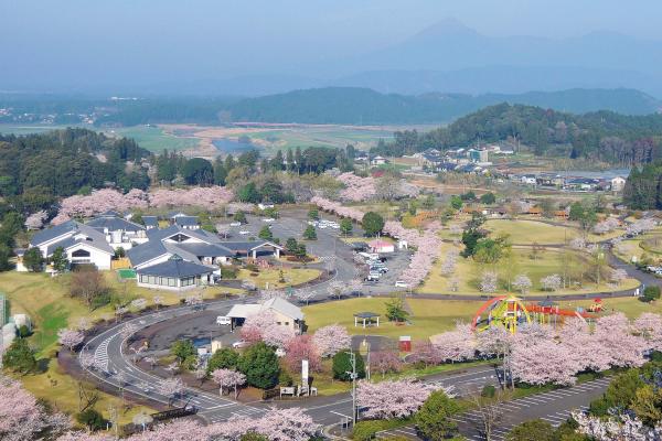 春は桜の名所としても人気のスポット