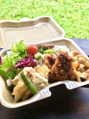 sorasora bento  1-box（限定ランチボックス）