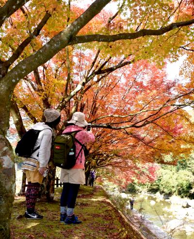 青井岳荘の外観の画像