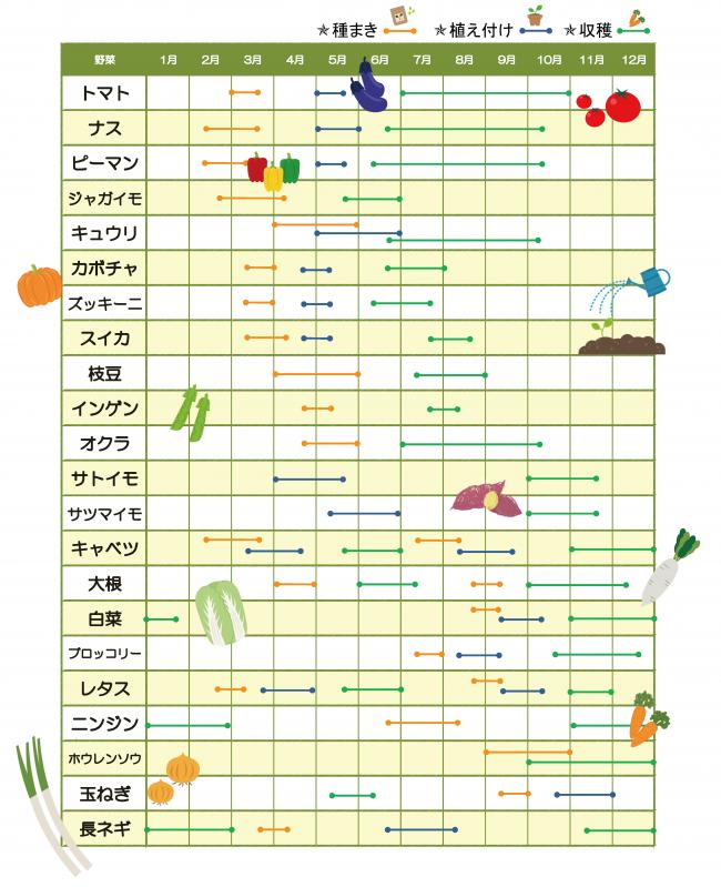 栽培スケジュール