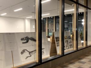 展示風景の写真です