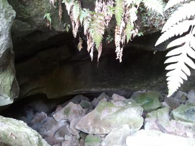 洞窟内部