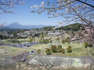 高崎総合公園