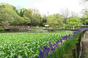 早水公園-4枚目-