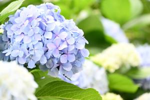 早水公園-11枚目-