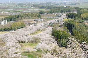 母智丘公園-2枚目-