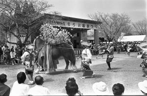 母智丘公園-3枚目-