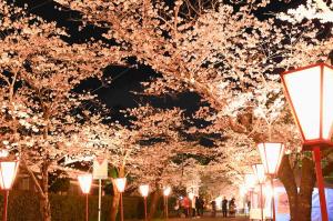 母智丘公園-7枚目-