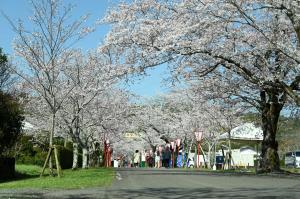 母智丘公園-10枚目-