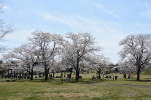 母智丘公園くまそ広場-4枚目-