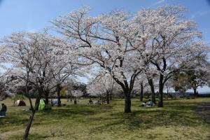 母智丘公園くまそ広場-6枚目-