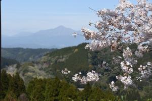 母智丘公園くまそ広場-7枚目-
