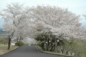 一堂ケ丘公園-1枚目-