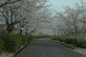 一堂ケ丘公園-4枚目-