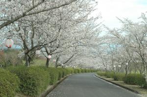 一堂ケ丘公園-5枚目-