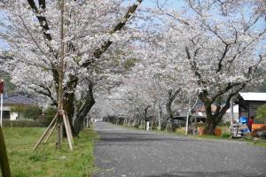 一堂ケ丘公園-6枚目-